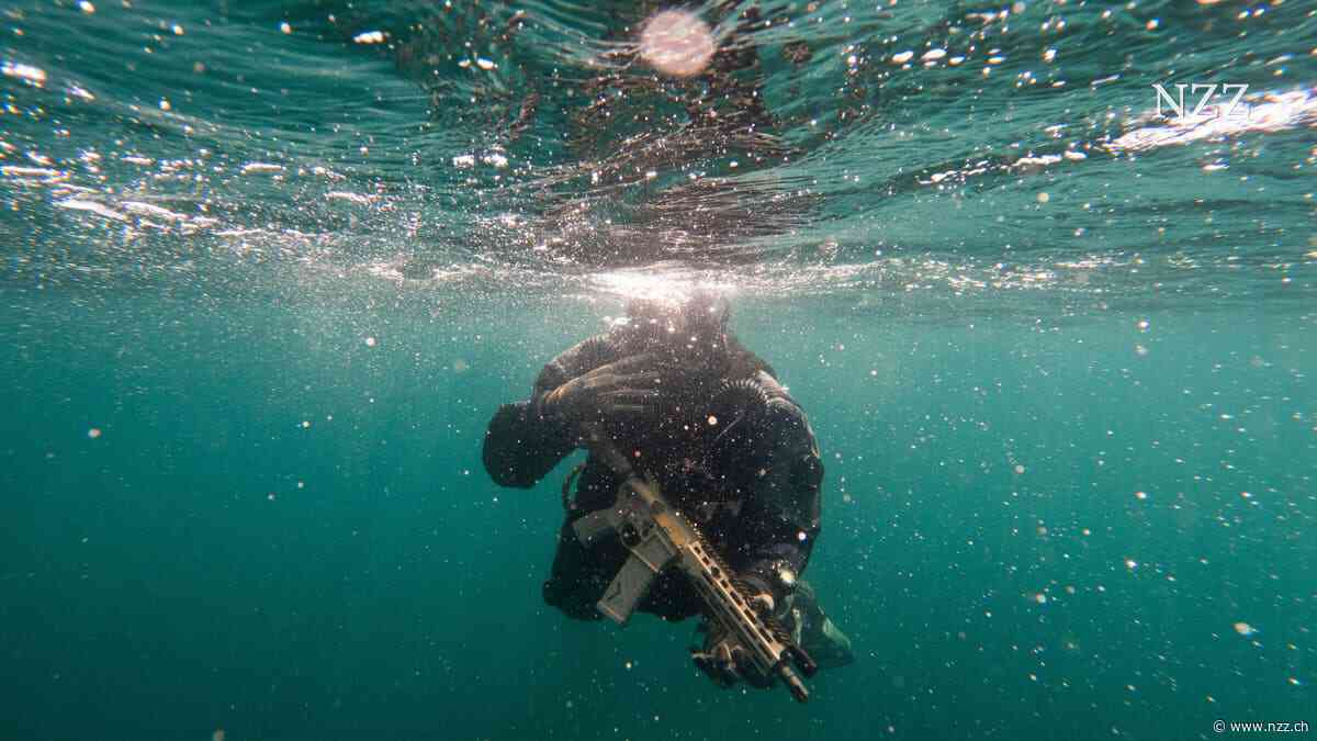 Die Ukrainer brauchen es zum Leben, Putin braucht es für seine Grossmachtphantasie: Das Schwarze Meer ist zum grössten Schlachtfeld des Krieges geworden