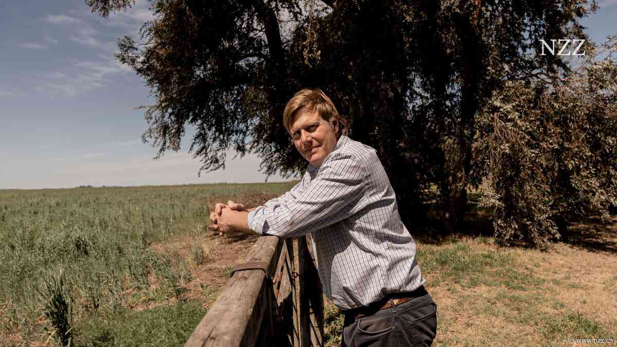 Ausgewanderter Schweizer Landwirt: «Ich habe alle meine Ersparnisse nach Argentinien geholt»