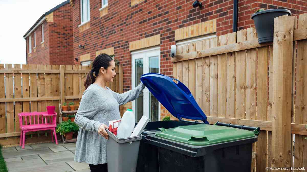 What can you do if someone uses your wheelie bin to dump dog poo? Legal rights explained