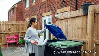 What can you do if someone uses your wheelie bin to dump dog poo? Legal rights explained