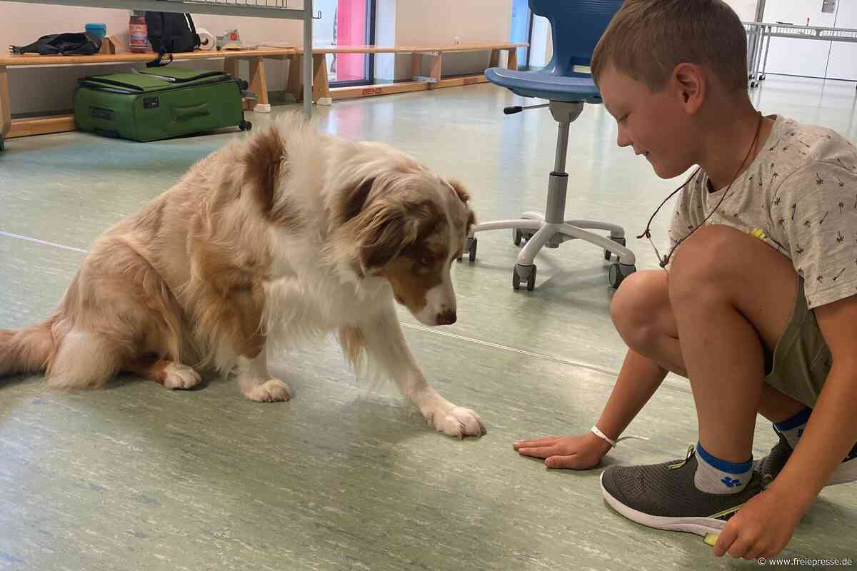 Therapiehunde Bailey und Smilla stärken Kinder in Freiberger Hort