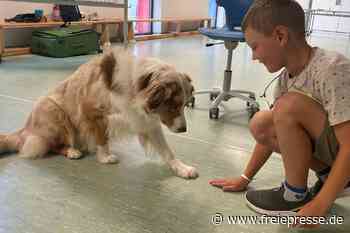 Therapiehunde Bailey und Smilla stärken Kinder in Freiberger Hort