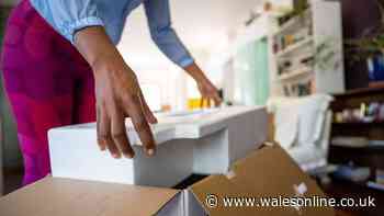 Binman shares common polystyrene recycling mistake —  what bin to put it in