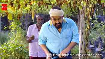 Mohanlal's organic garden at his Elamakkara home
