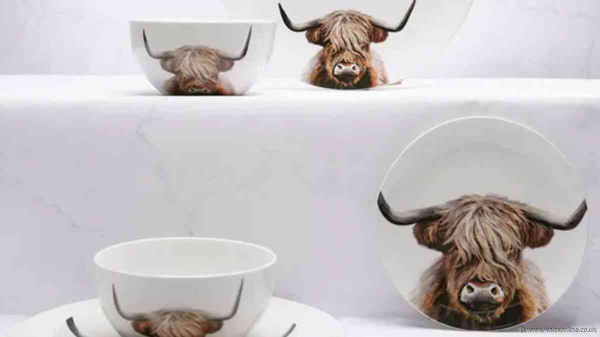 Dunelm's £30 'great value for money' Highland Cow dinner set falls to £14.50