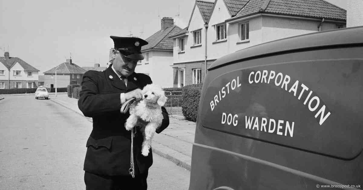 Bristol in the 1970s: Archive photos capture everyday life
