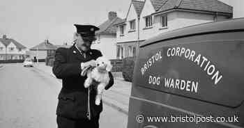 Bristol in the 1970s: Archive photos capture everyday life