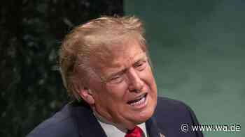 „Je schwächer er wird, desto gefährlicher wird er“: Trumps Macht schwindet vor den Midterms