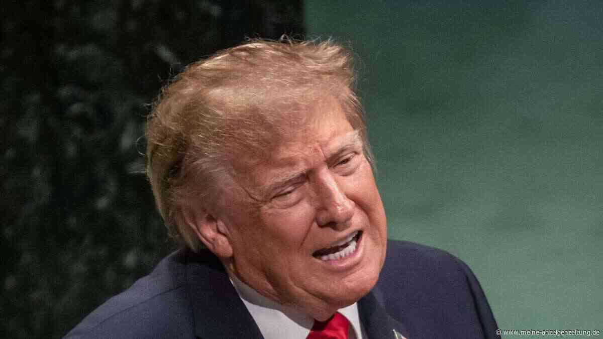 „Je schwächer er wird, desto gefährlicher wird er“: Trumps Macht schwindet vor den Midterms