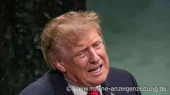 „Je schwächer er wird, desto gefährlicher wird er“: Trumps Macht schwindet vor den Midterms