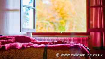 My bedroom stays warm at night without heating if I do a 10-minute task in the morning