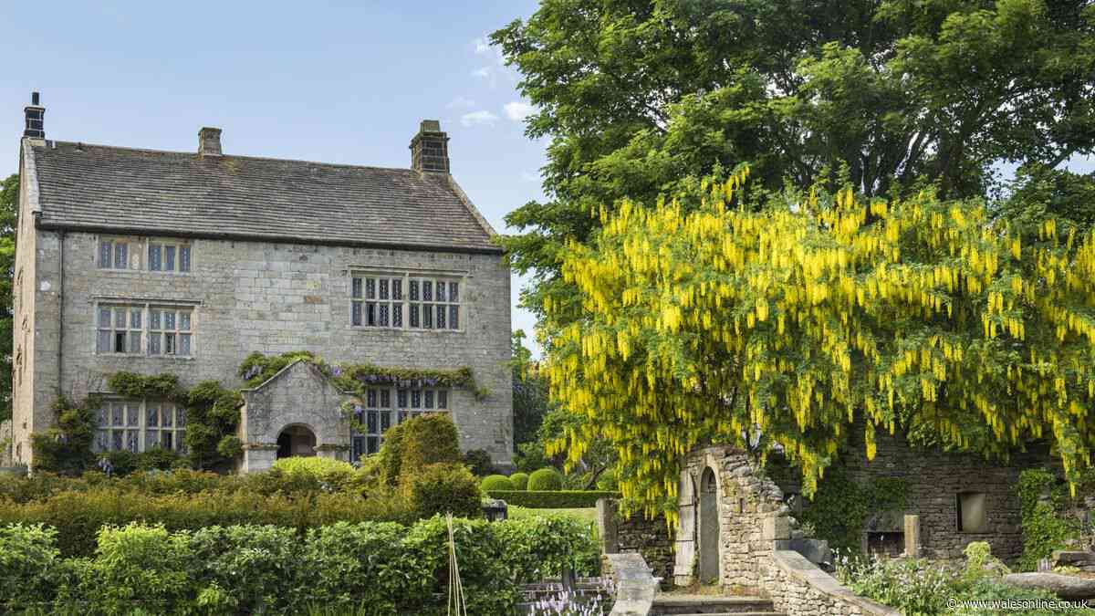 Six staycation spots for holidaymakers inspired by Jane Austen's Sense and Sensibility