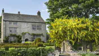 Six staycation spots for holidaymakers inspired by Jane Austen's Sense and Sensibility