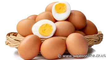 Official rule on eating 'out of date' eggs - and one thing you 'must do'