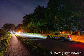 Ree overleden na botsing met motorrijder