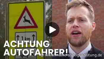 Wildunfall-Gefahr steigt: Davor warnt die Polizei im Herbst besonders