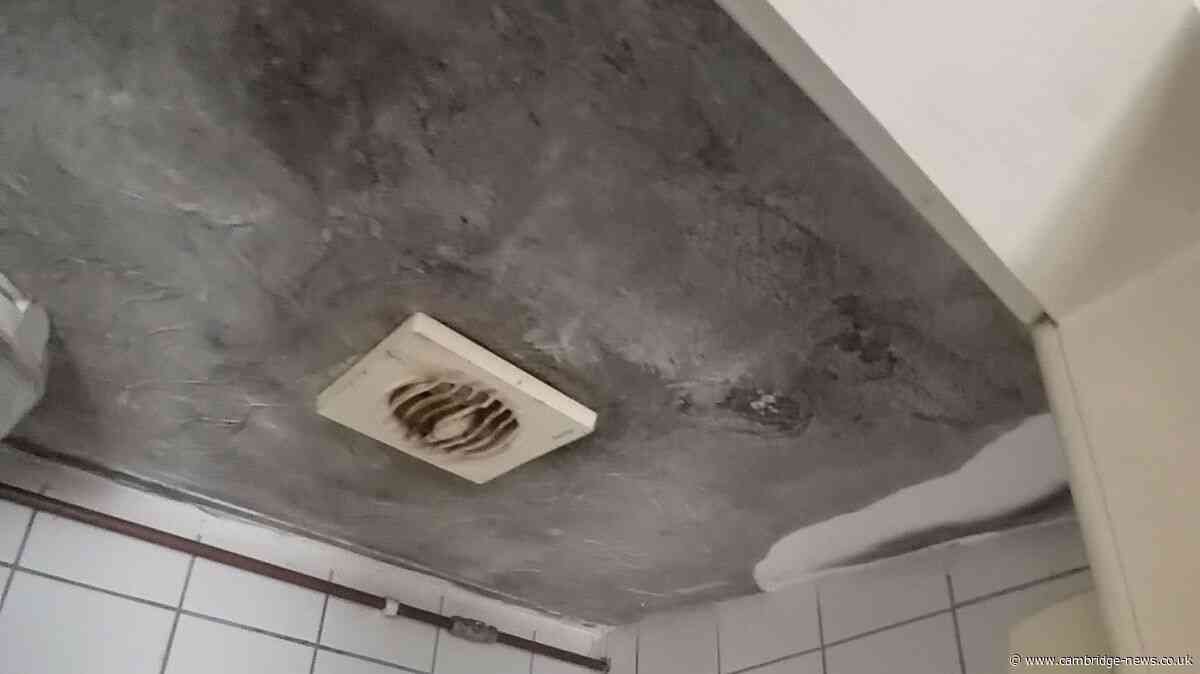 Ceiling turned black in Fenland flat riddled with damp and mould