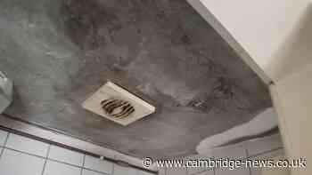 Ceiling turned black in Fenland flat riddled with damp and mould