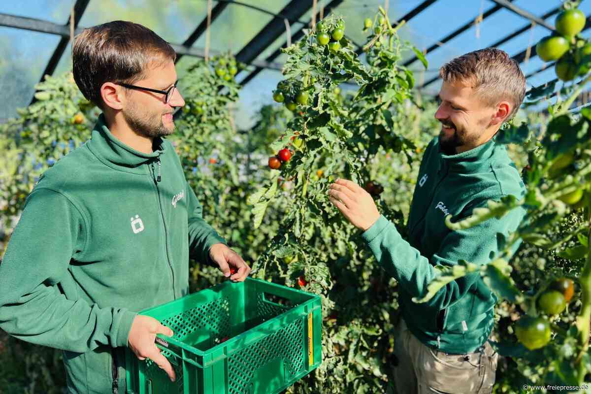 Mit Bio-Landwirtschaft in die nächste Generation: So will sich der Guidohof seine Zukunft sichern