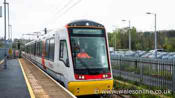 Wales has paid millions for trains that people still can't use