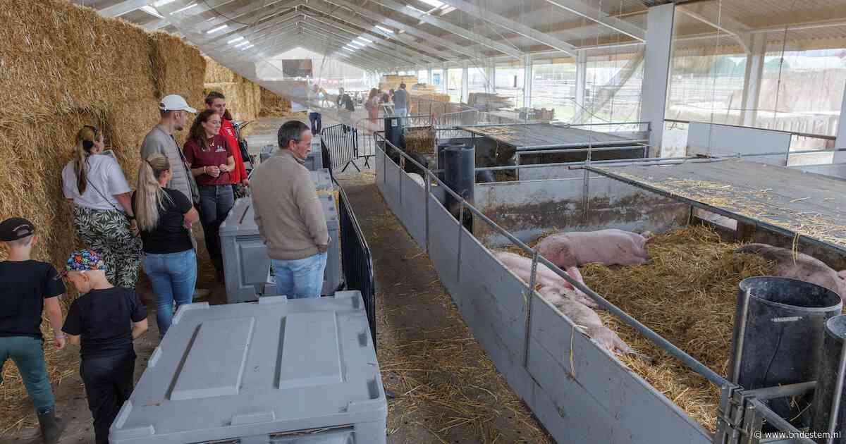 Van open dag naar bouwplaats: op deze zorgboerderij in Lepelstraat gebeurt ineens van alles