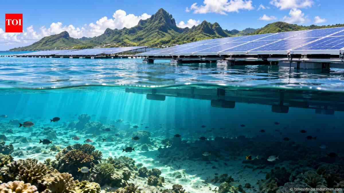 Floating solar cuts seabed light in French Polynesia, with no detectable lagoon temperature