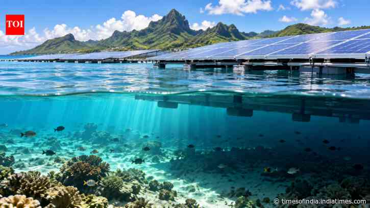 Floating solar cuts seabed light in French Polynesia, with no detectable lagoon temperature