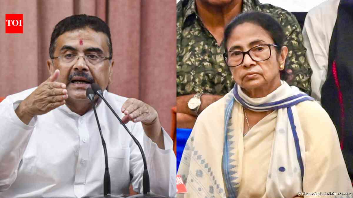 Bengal SIR row: CM Suvendu Adhikari pins blame on Mamata for deletion of 27 lakh voters