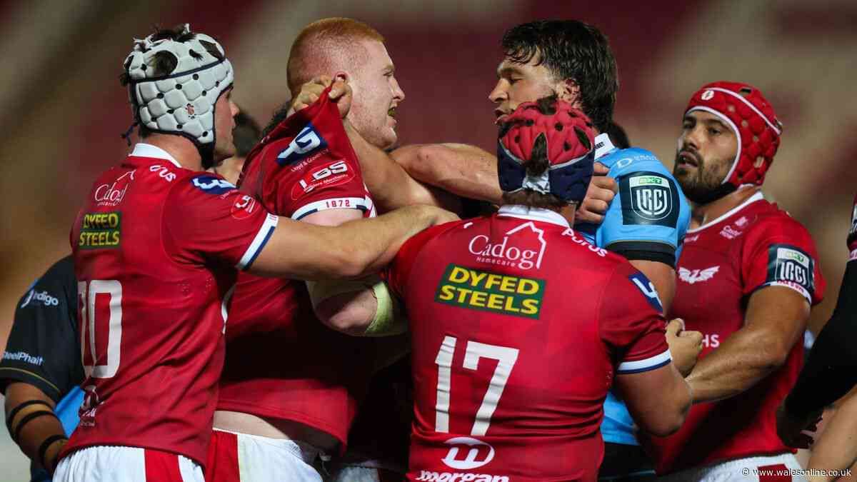 Scarlets v Cardiff ratings as 'outstanding' Wales duo shine on derby night