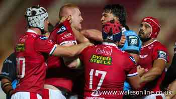 Scarlets v Cardiff ratings as 'outstanding' Wales duo shine on derby night