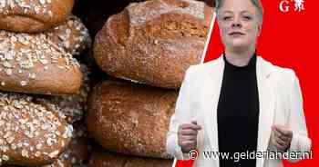 Voor 3,49 euro mag je zeggen dat brood droog is, voor 22 euro mompel je iets over het Romeinse Rijk