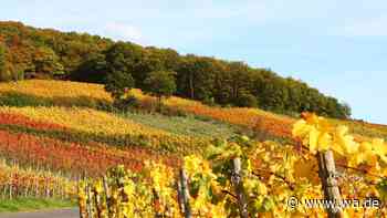 „Schönste Weinregion Europas“ gekürt – und sie liegt zum Teil in NRW