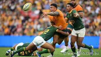 Test Rugby LIVE: Can the Wallabies upset the world champion Springboks again?