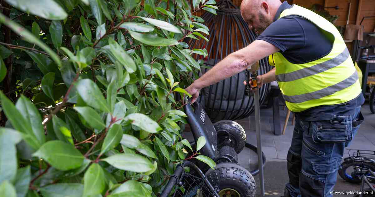Weer veel tijgermuggen gevonden in Lent, maar bestrijding lijkt toch vruchten af te werpen