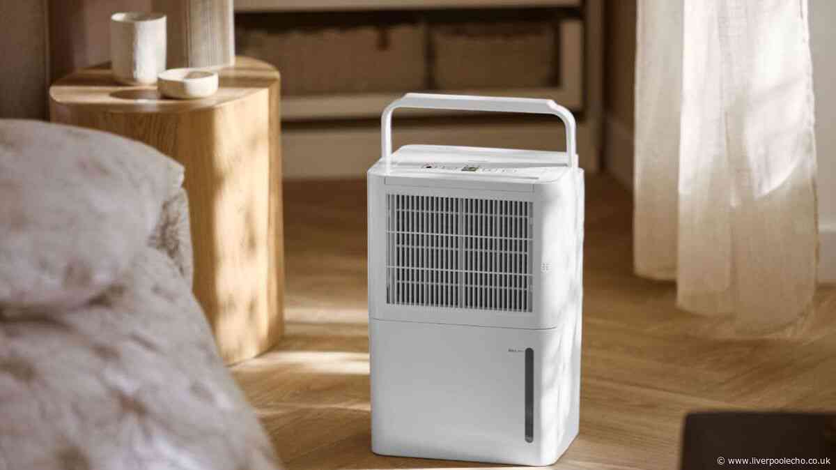 Lidl's new dehumidifier could dry laundry faster and cheaper - on sale September 27