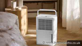Lidl's new dehumidifier could dry laundry faster and cheaper - on sale September 27