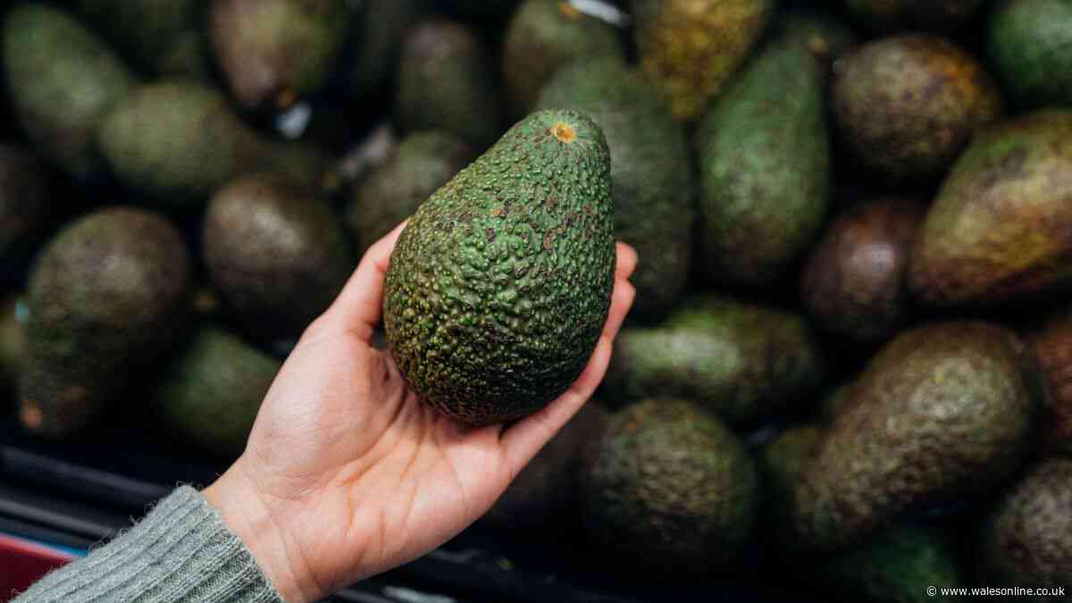 Store avocados in 1 area of your kitchen to keep them ripe for weeks