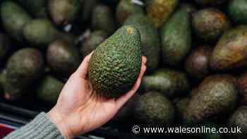 Store avocados in 1 area of your kitchen to keep them ripe for weeks