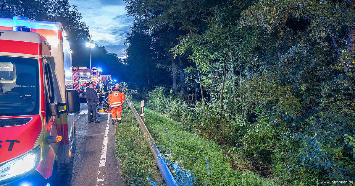 Im Kreis Bamberg: Auto stürzt mit Frau und Hund Böschung hinab