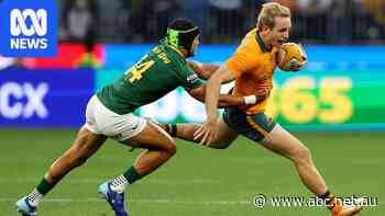 Live: Ikitau scores quickfire double as Wallabies take the fight to Springboks