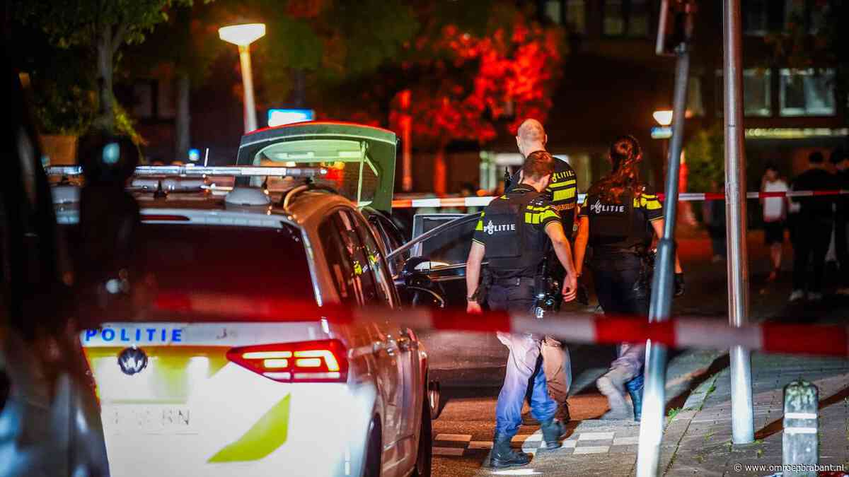 Groep rijdt auto van de weg en steekt man (18) en jongen (14) neer