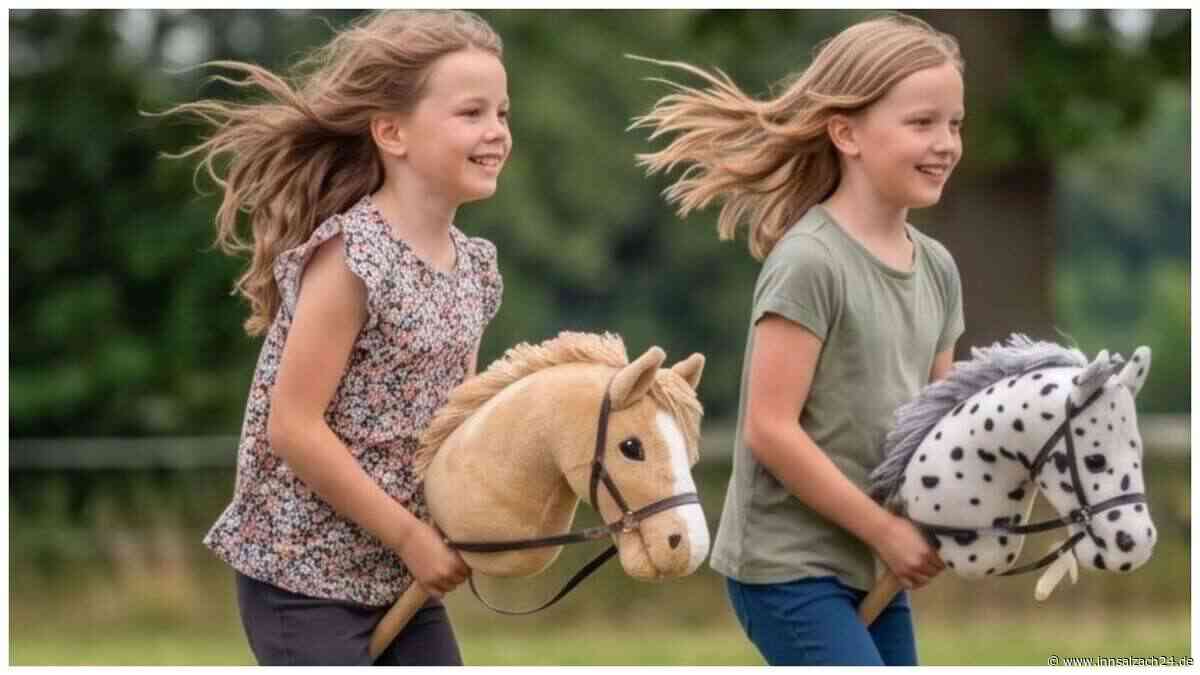 Auf dem Steckenpferd durch Mühldorfer Turnhalle: Lehrerin Stefanie Frisch setzt auf Hobby Horsing