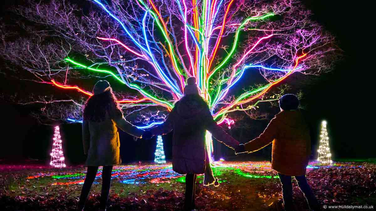 Enchanting festive lights experiences within easy reach of Hull including a new Tudor-inspired trail and the Polar Bear Express