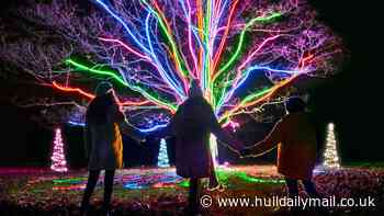 Enchanting festive lights experiences within easy reach of Hull including a new Tudor-inspired trail and the Polar Bear Express