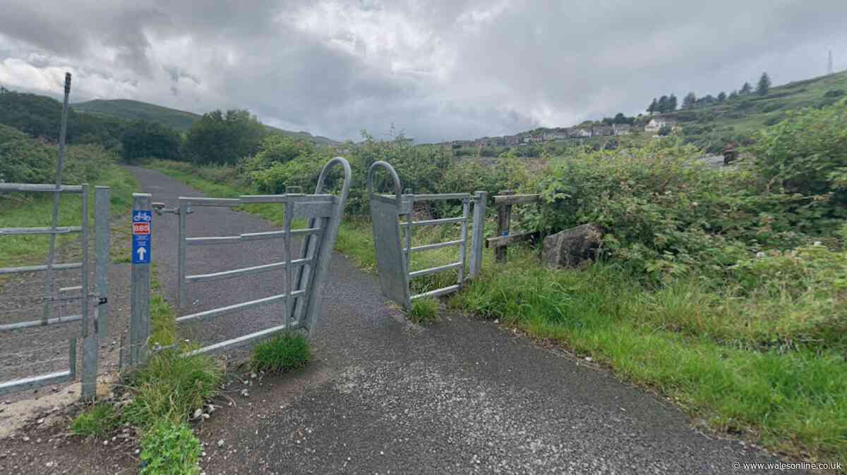 Police appeal after man attacked by dog in Maesteg