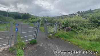 Police appeal after man attacked by dog in Maesteg