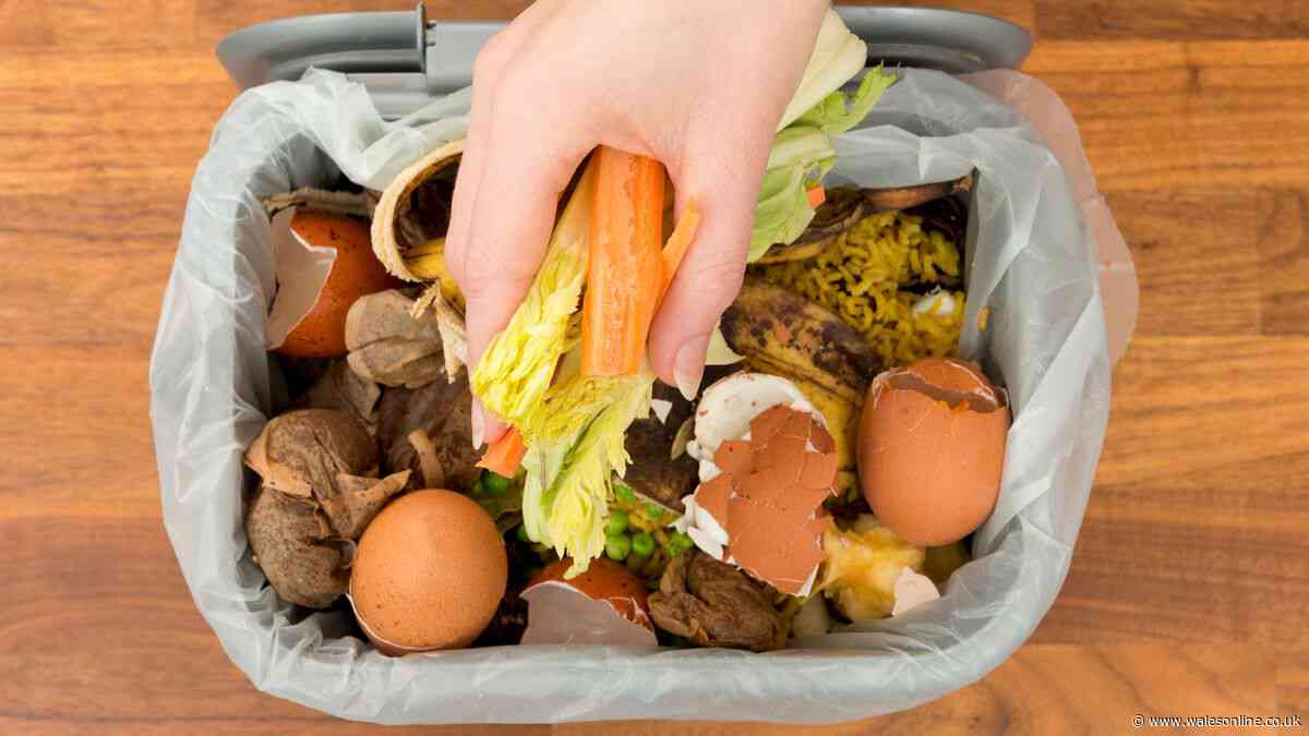 Binman says 'do this' to make sure your food waste bin is collected