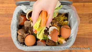 Binman says 'do this' to make sure your food waste bin is collected