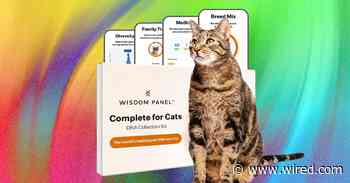 What’s the Best Pet DNA Test? We Tested the Most Popular Ones