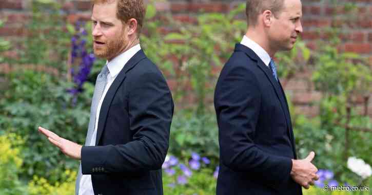William ‘turned down chance to make Diana film to avoid Harry conflict’